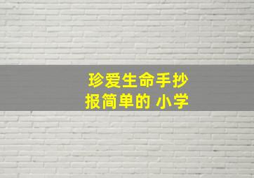 珍爱生命手抄报简单的 小学